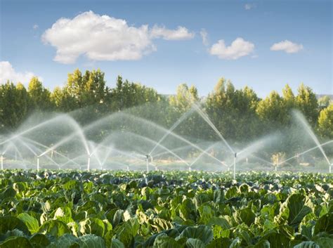 what are farmers doing to improve water quality